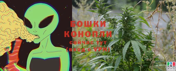 дживик Майский