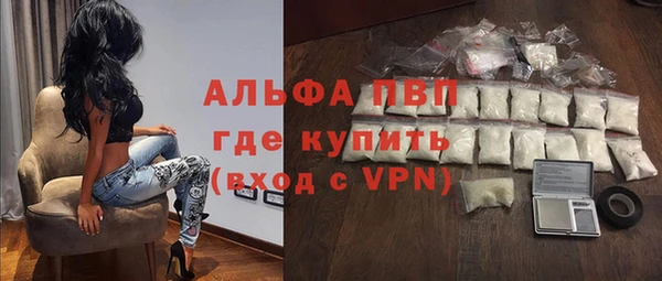 дживик Майский