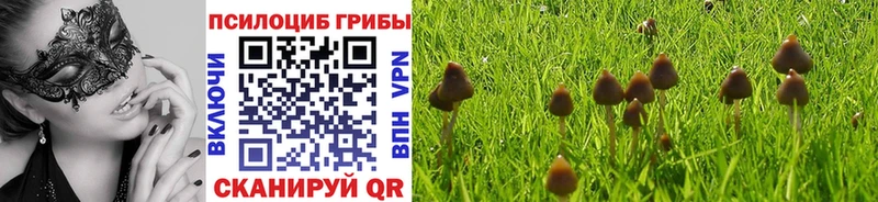 Галлюциногенные грибы мухоморы  купить наркоту  Салават 