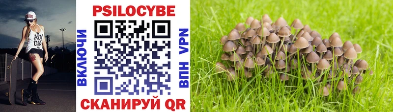 Галлюциногенные грибы Magic Shrooms Салават