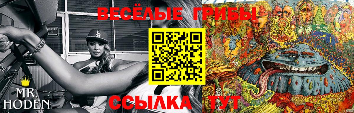 Салават  Псилоцибиновые грибы Magic Shrooms  Вход с VPN  Псилоцибиновые грибы мухоморы 