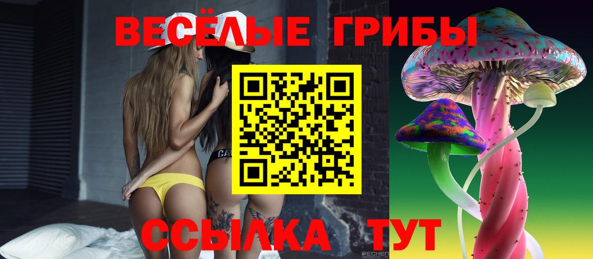 Псилоцибиновые грибы Cubensis Салават